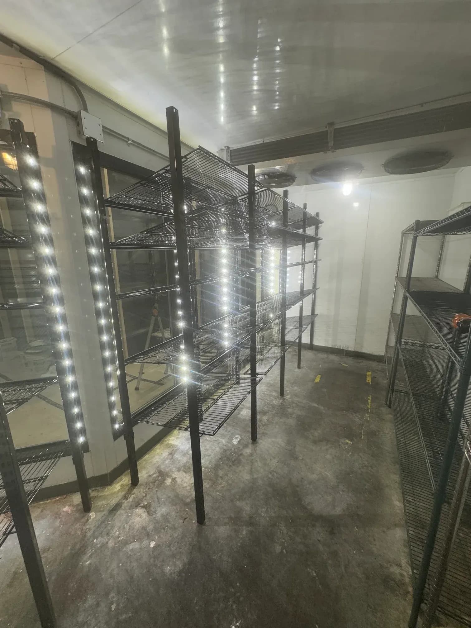 Cooler wall and beverage cases maintained at a retail location
